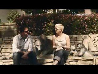 Watch How to Get a Girl Back Video