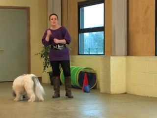 Dog Training Made Easy: Teach your dog to fetch