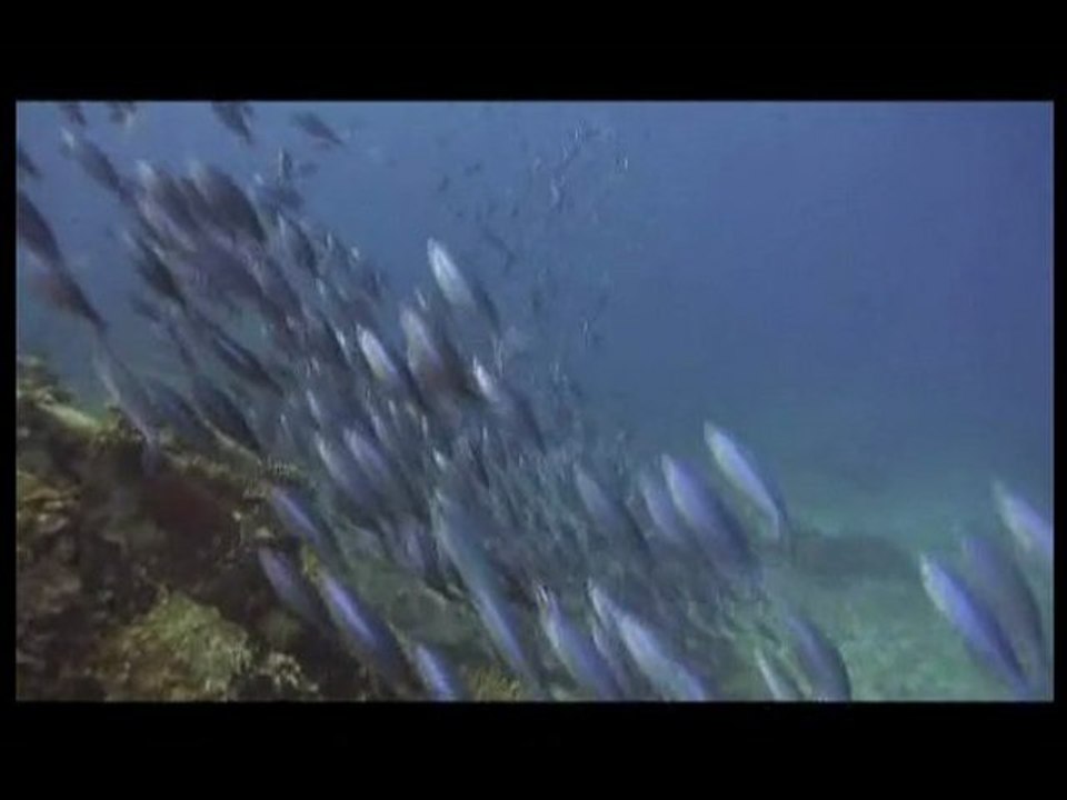 Plongez Praslin Seychelles