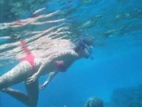 croisiere tahiti spécial Virginie