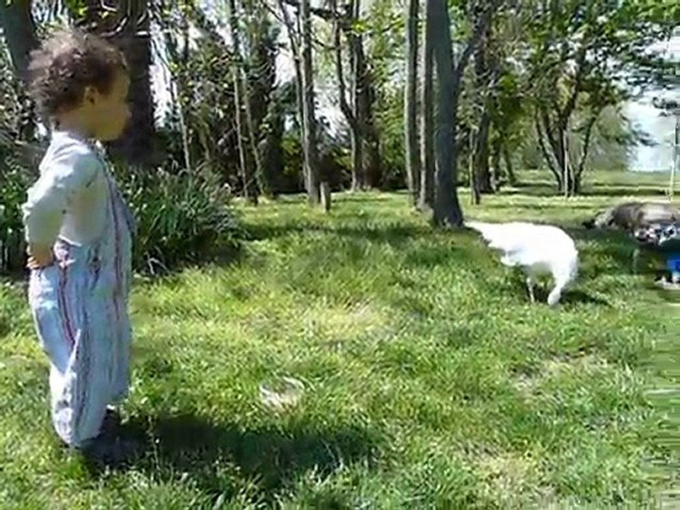 200410 yanis donne à manger aux paons