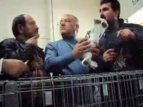 T.Ş.G.F-İzmir Özel 2010 Festivali-2