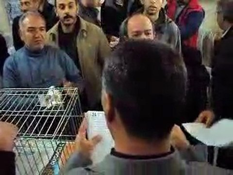 T.Ş.G.F-İzmir Özel 2010 Festivali-5