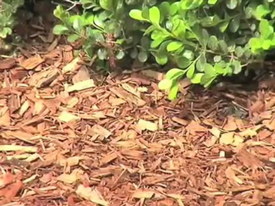 JetMulch Inc.