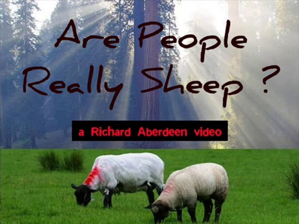 ARE PEOPLE REALLY SHEEP?
