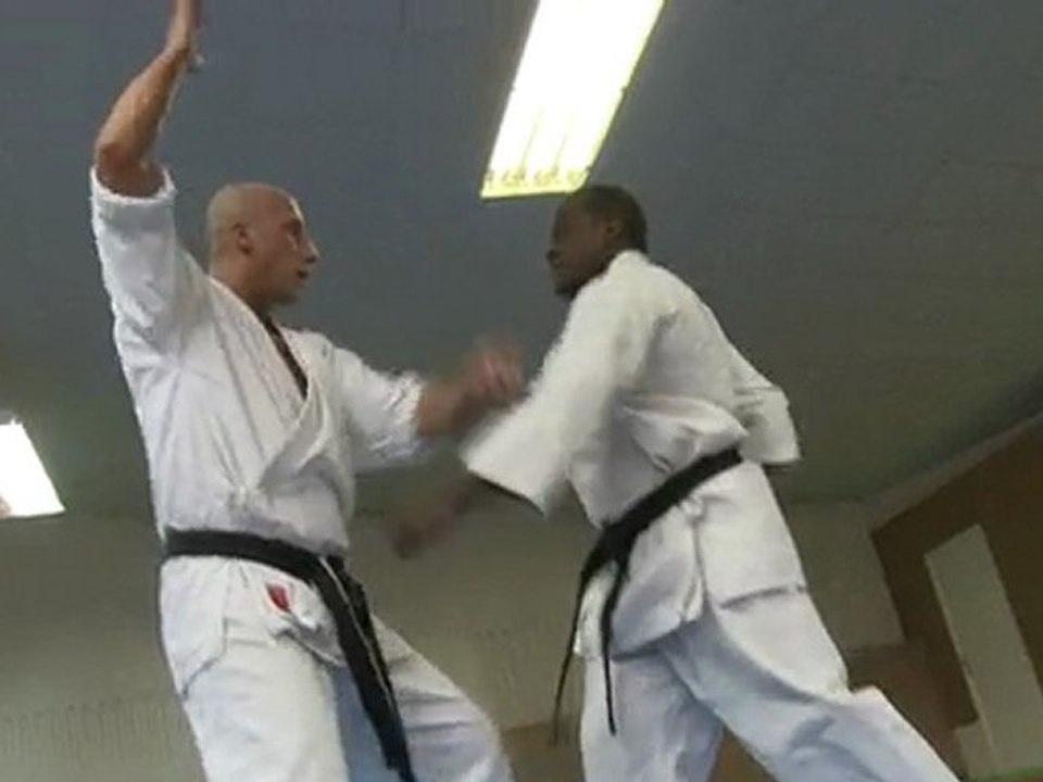 karate do shotokan