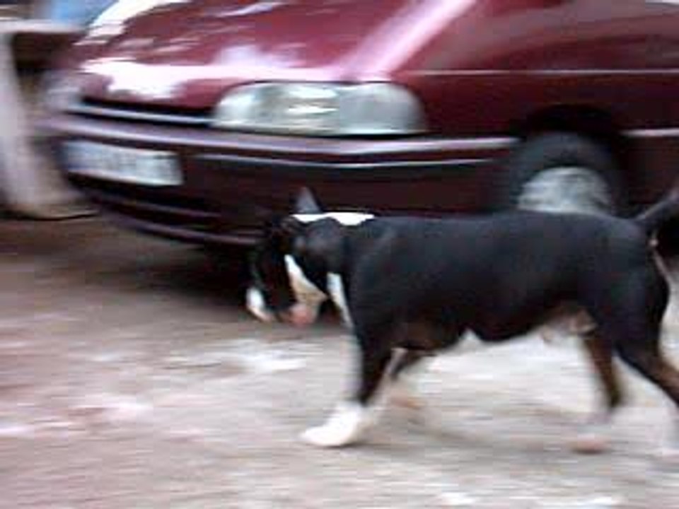 VARGAS À LA FÊTE DES PÈRES 5