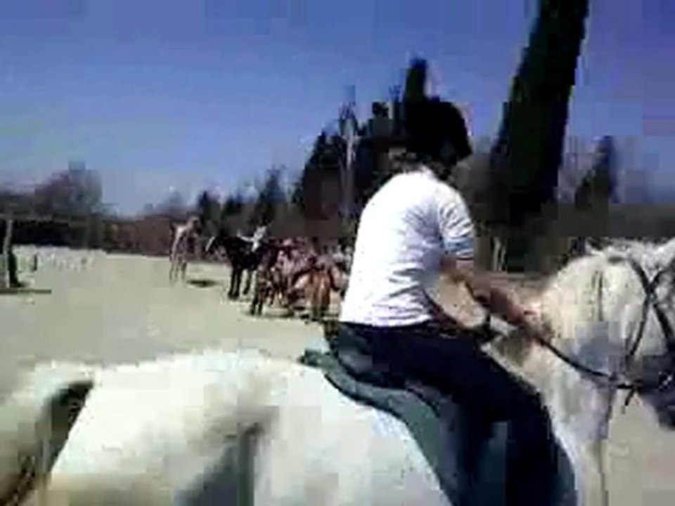 entrainement saut galop 2 clair