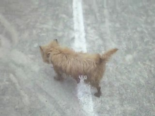 un cairn en thalasso