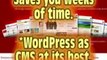 Wordpress - Website Template | Wp Themes