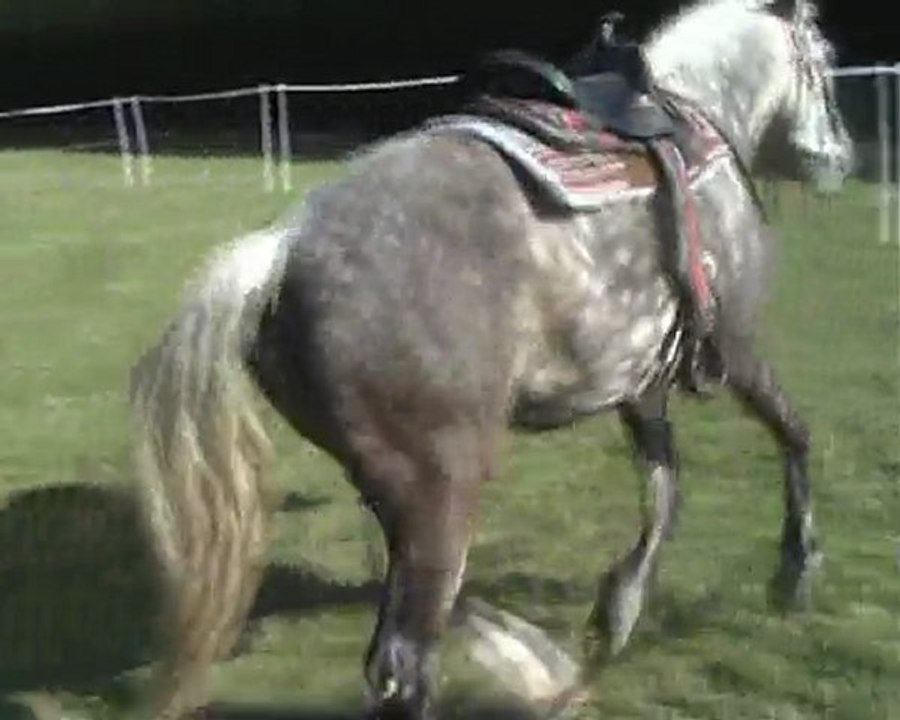 travail longe et libre 23 avril 2010