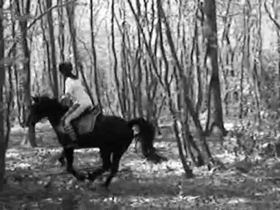 Badaaboum :) Horse Vidéo !