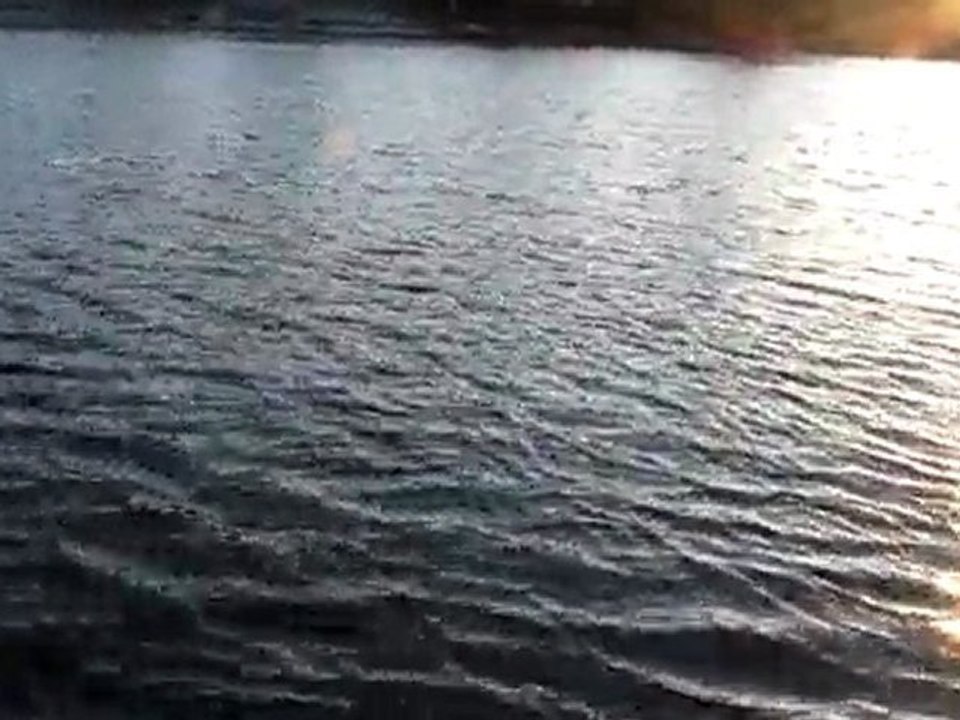 Whitefish FAKO&DOGAN avi 23.4.2010 006