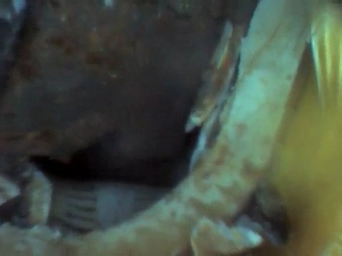 Sondaj kamerası satışı 0 542 633 54 98 cengiz tamkan Ödemiş