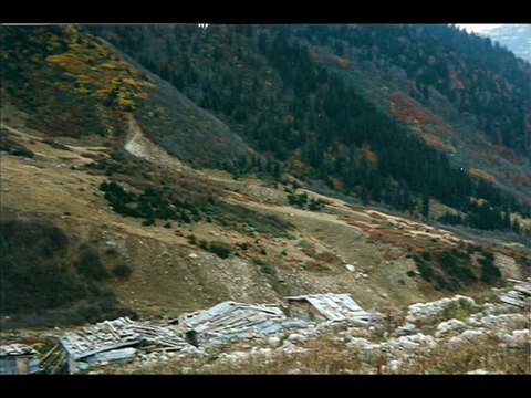 KAZIM KOYUNCU-DİDO kavrun.tr.gg