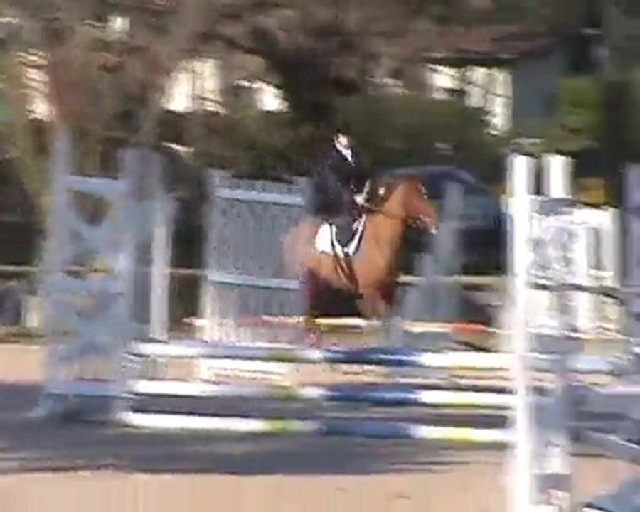 premier concours amazone, janvier 2006