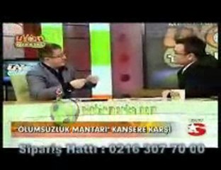 Kırmızı Mantar Ölümsüzlük Mantarı