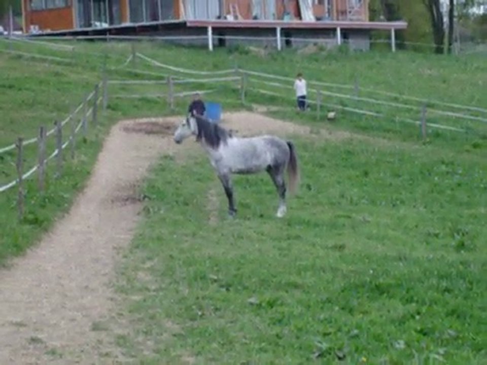 VILFIGUEIRAS AU PADDOCK !