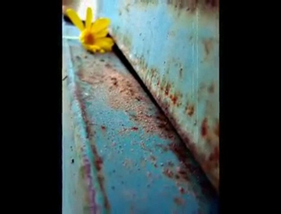 Kopyası 117639901583918_56831