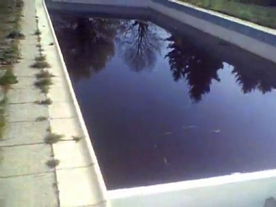 La piscine de KrZ