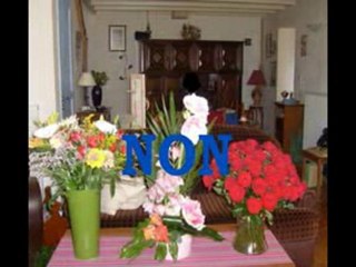 Montage evp 10 avril 2010