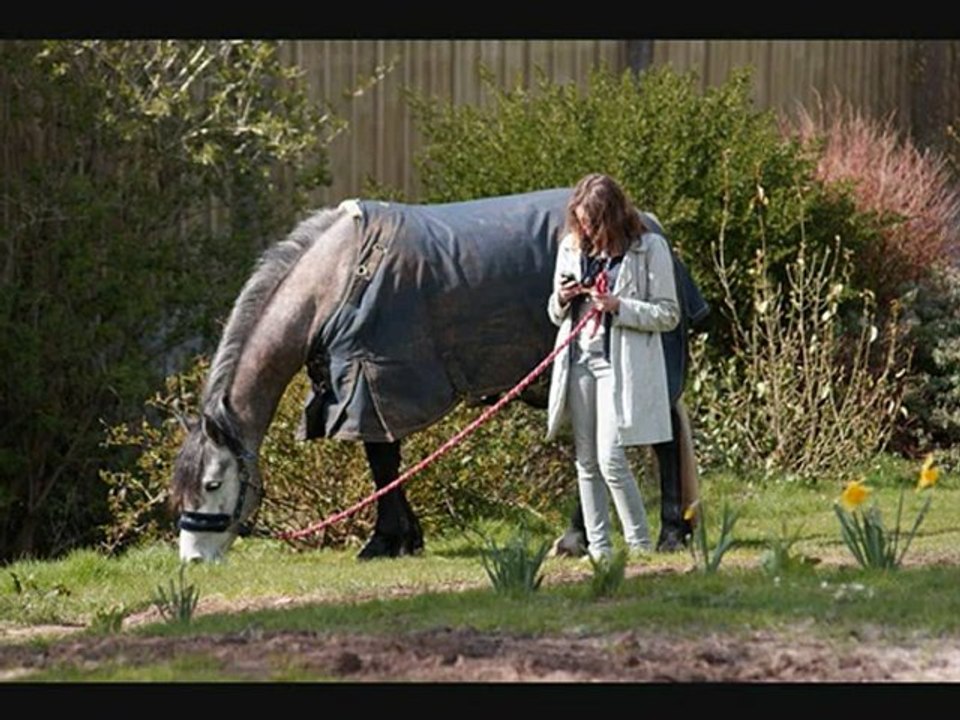 Rainbow  du preuil_0001