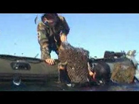 NUCLEAIRE : Chapitre 4 surveillance du site