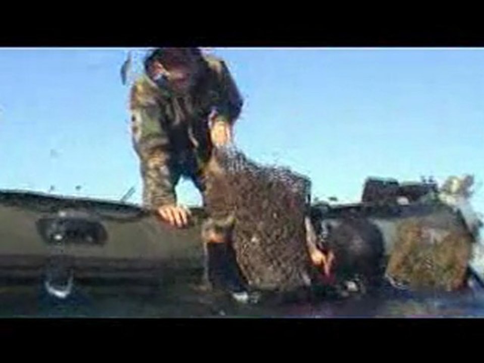 NUCLEAIRE : Chapitre 4 "surveillance du site"