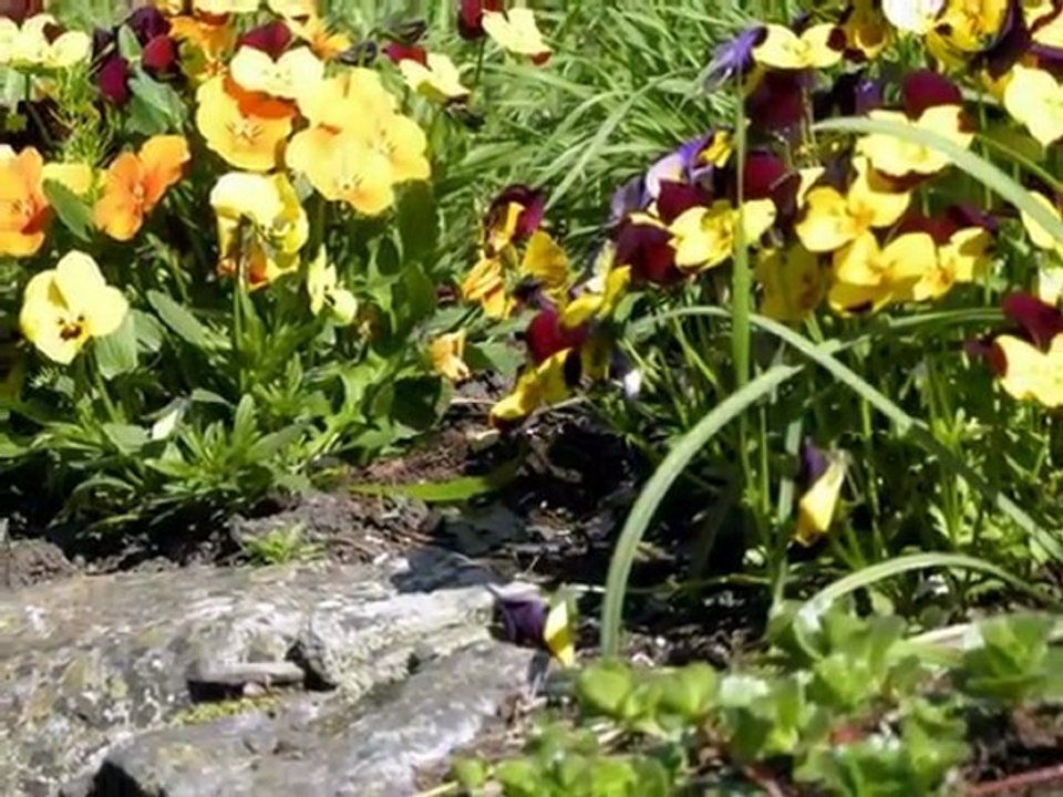 IL Y AVAIT UN JARDIN