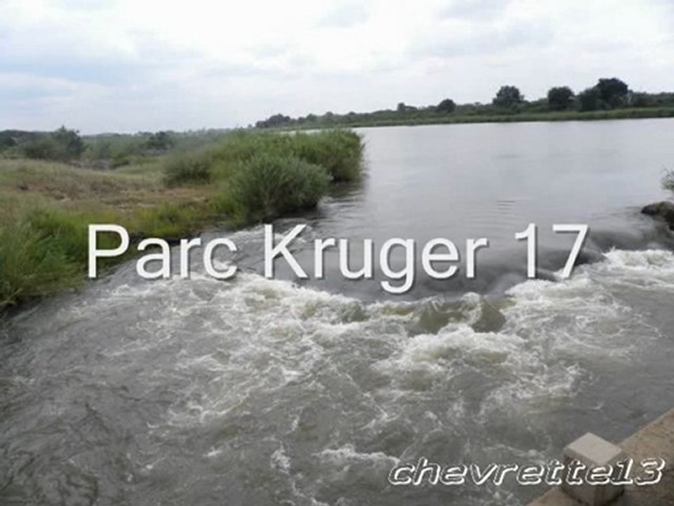 Kruger 7_0001