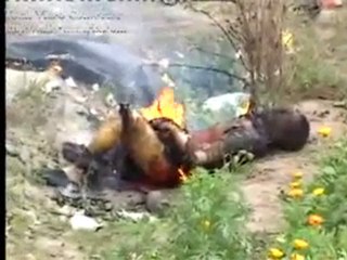 Sulm ndaj shijave ne irak