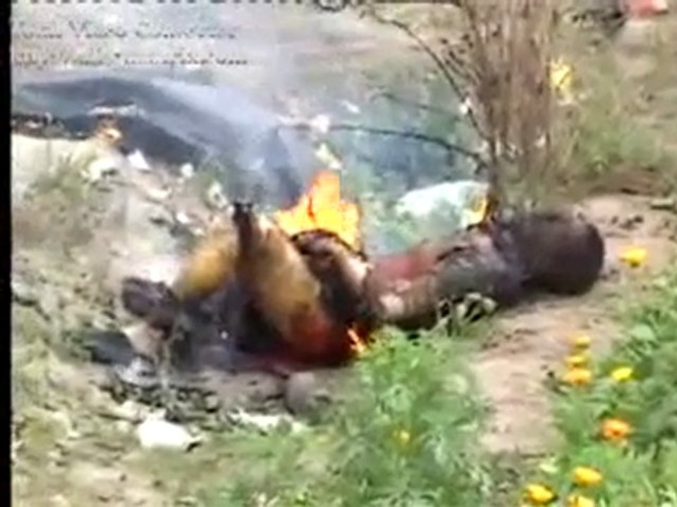 Sulm ndaj shijave ne irak
