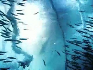 Oceans - 3 www.cinefragman.info