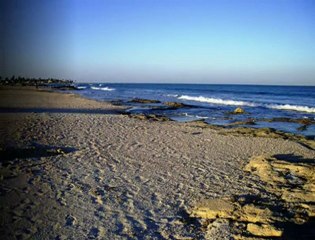 Djerba, paysages