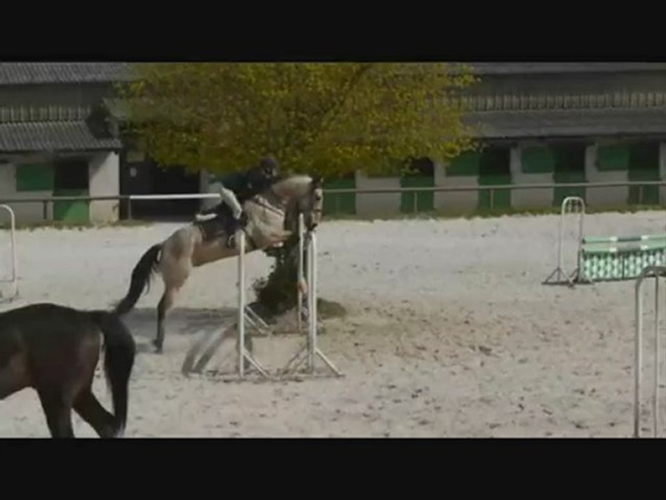 Galop 6