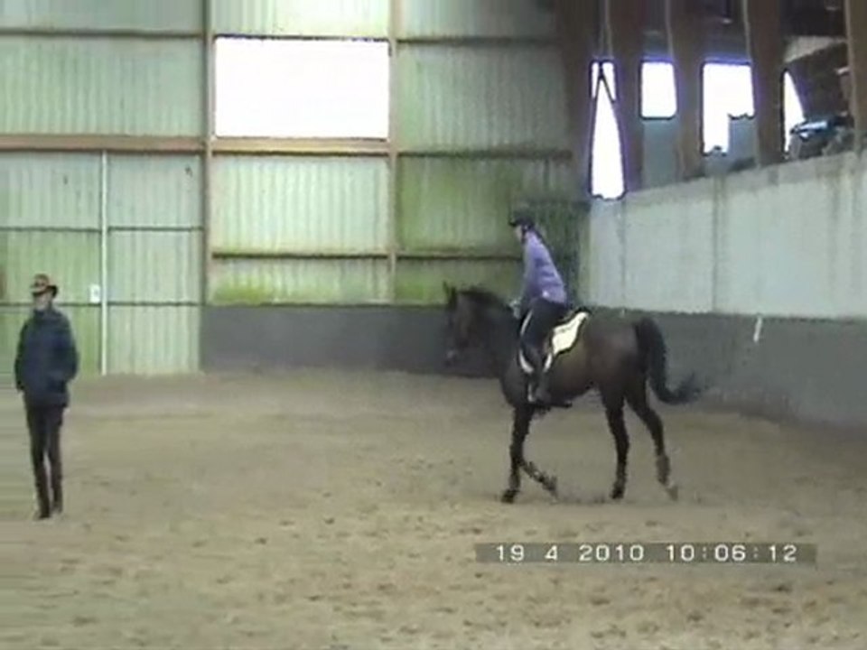 Saut au trot séance avec le Dr P.Pradier