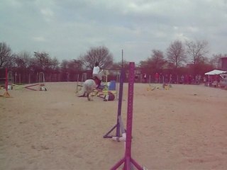 Pauline & Pépite CSO