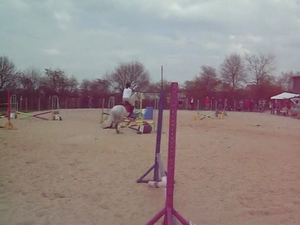 Pauline & Pépite CSO