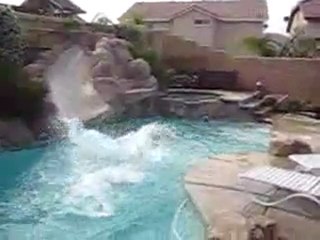 Chien s'amuse tout seul dans une piscine