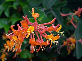 bY EzgincE aşkın nur yengi kalpsiz