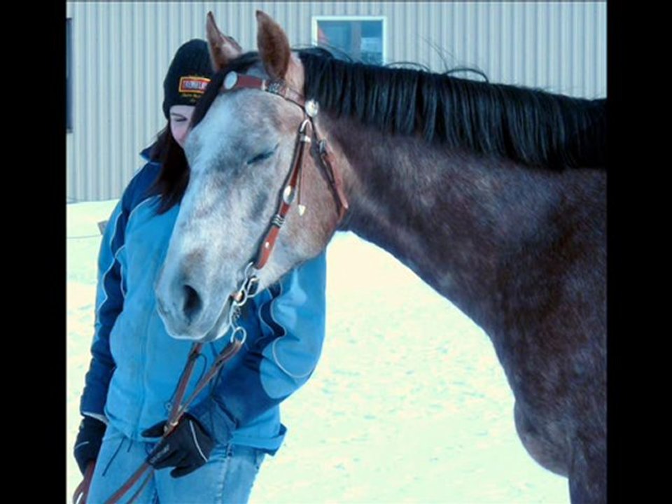 Premier montage de ma jument- notre évolution
