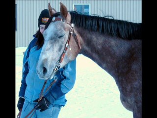 Premier montage de ma jument- notre évolution