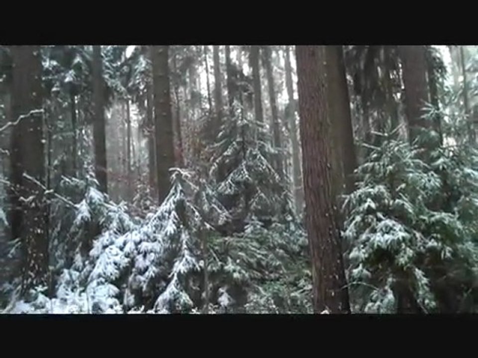 Gratitude - your path to happiness