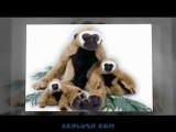 Stuffed Monkeys - Monkey Plush Toys