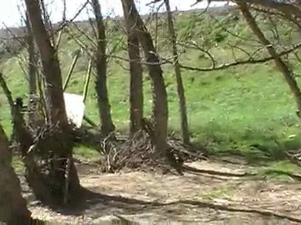Despedidas de soltero (Paintball en logroño).