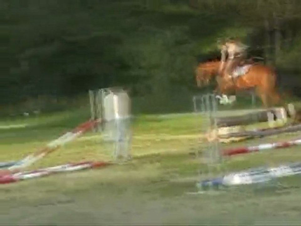 Gunfire 1ère séance obstacle 24 avril 2010