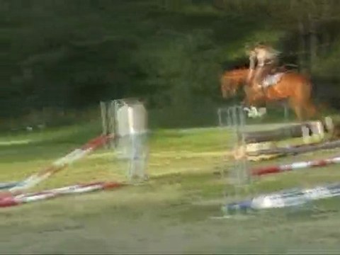 Gunfire 1ère séance obstacle 24 avril 2010