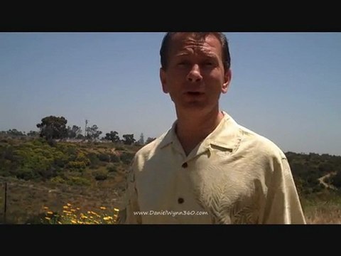 Main St Marketing Machines, Traffic Geyser, Firepower