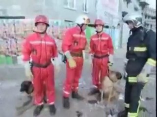 Journée d'enfer des Sapeurs Pompiers...Au coeur du feu