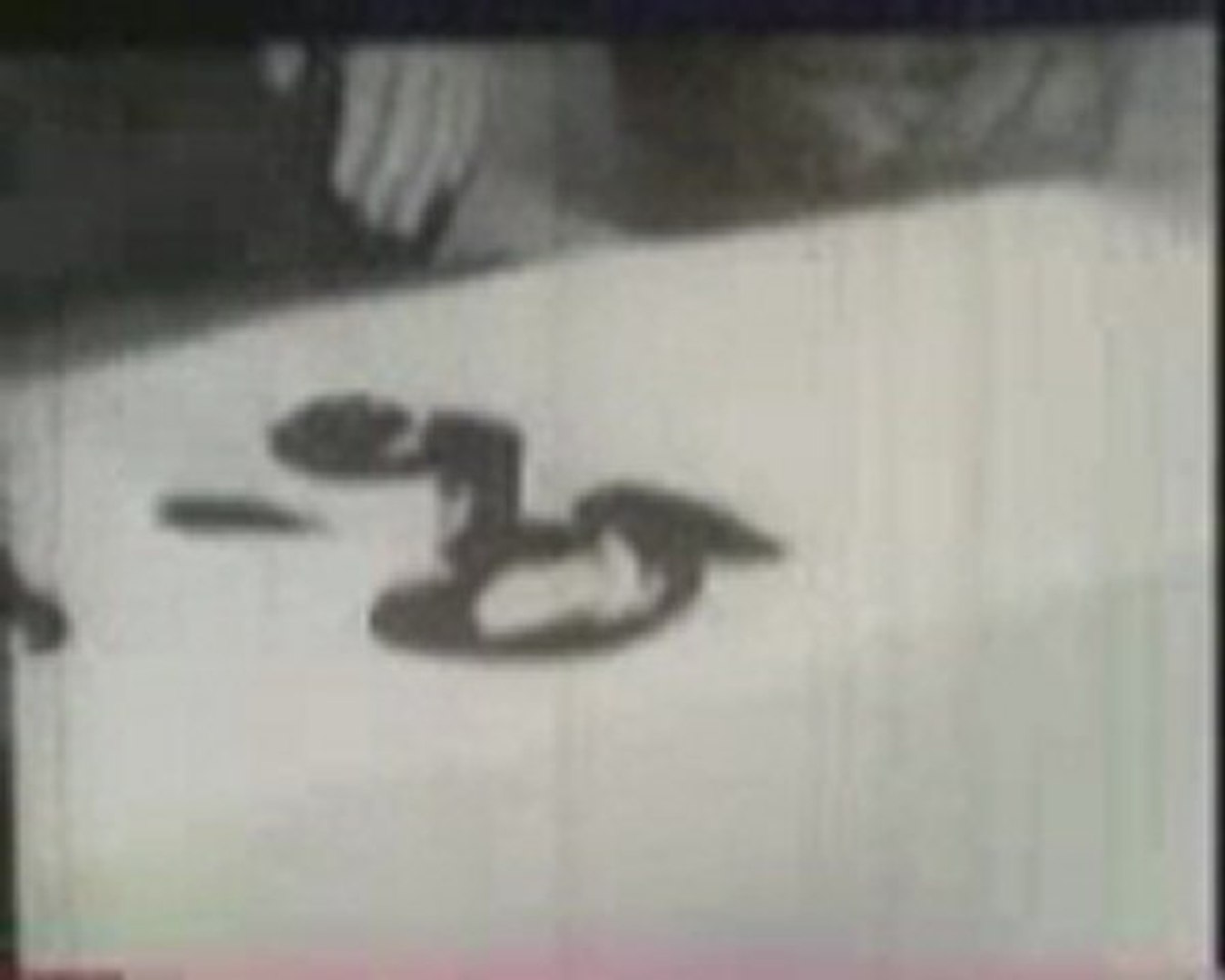 mokiti okada Vídeo de Meishu Sama fazendo caligrafia